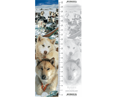 WK00984  00984 Bokmerke/linjal, 3D, Husky Husky, Worth Keeping